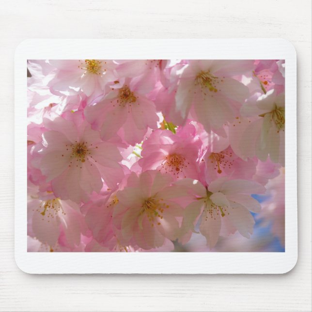 Japanese Cherry Blossom Mouse Mat (Front)