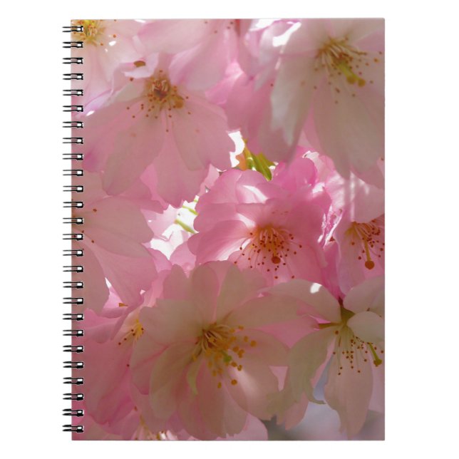 Japanese Cherry Blossom Notebook (Front)