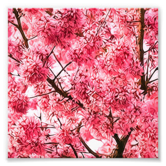 Japanese Cherry Blossom Tree (2013) Photo Print