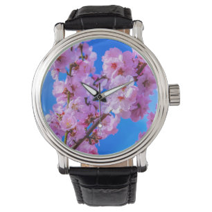 Japanese Cherry Blossoms 13    Watch