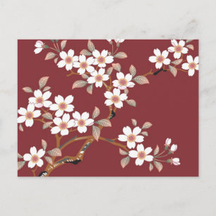 Japanese Cherry Blossoms Postcard
