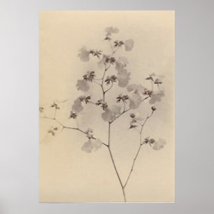 Japanese cherry blossoms poster