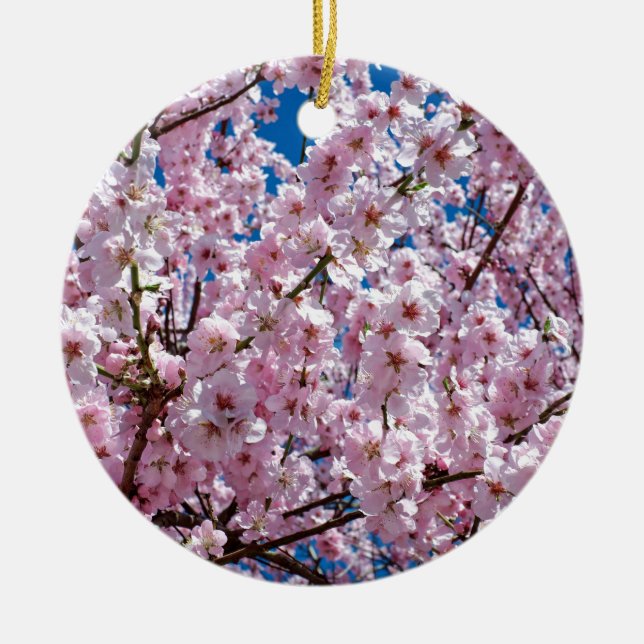 Japanese cherry Flower Ceramic Tree Decoration (Front)