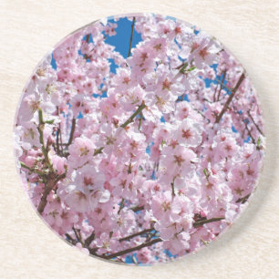Japanese cherry Flower Coaster
