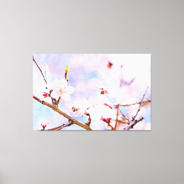 Japanese Cherry - Sakura In Bloom Canvas Print (Front)
