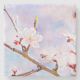 Japanese Cherry - Sakura In Bloom Stone Coaster