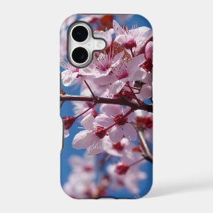 Japanese Cherry Tree Blossom