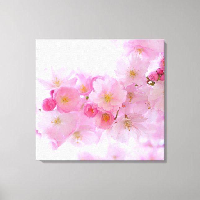 Japanese Cherry Tree Blossom Canvas Print (Front)