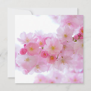 Japanese Cherry Tree Blossom Card
