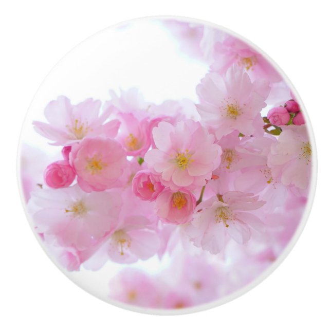 Japanese Cherry Tree Blossom Ceramic Knob (Front)