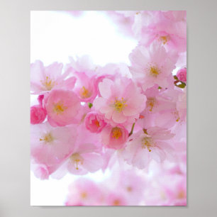 Japanese Cherry Tree Blossom Poster