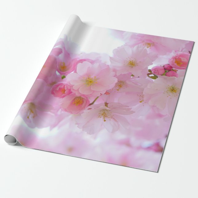 Japanese Cherry Tree Blossom Wrapping Paper (Unrolled)