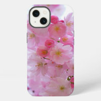 Japanese Cherry Tree Flower