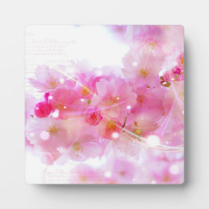 Japanese Cherry Tree with Pastel Pink Blossoms Plaque