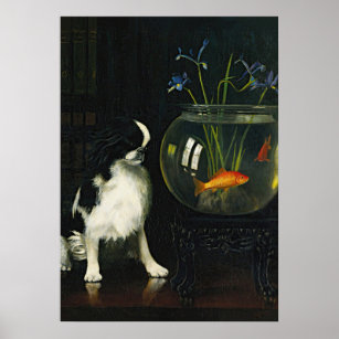 Japanese Chin and Goldfish, Vintage Art Poster