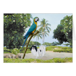 Japanese Chin and Macaw