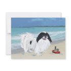 Japanese Chin at the Beach
