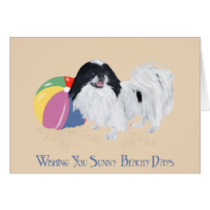 Japanese Chin Beach Ball