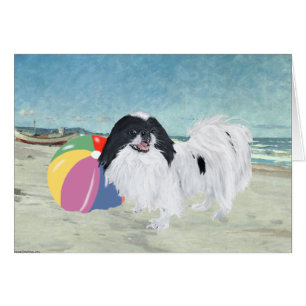Japanese Chin Beach Ball