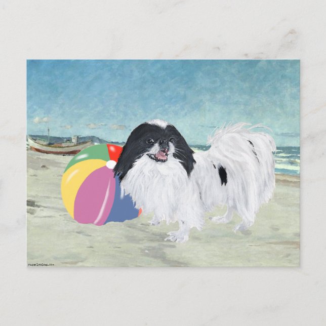 Japanese Chin Beach Ball Postcard (Front)