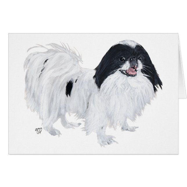 Japanese Chin Dog (Front Horizontal)