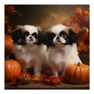 Japanese Chin Puppy Autumn Delight Pumpkin  Poster