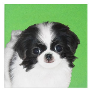 Japanese Chin Puppy Painting - Original Dog Art
