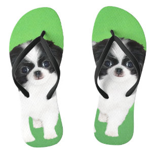 Japanese Chin Puppy Painting - Original Dog Art Flip Flops