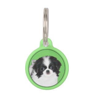 Japanese Chin Puppy Painting - Original Dog Art Pet Tag