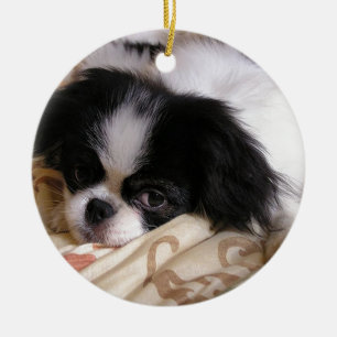 Japanese_chin puppy.png ceramic tree decoration