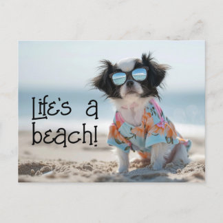 Japanese Chin Puppy wearing sunglasses Postcard