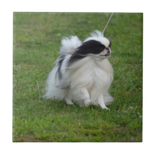 Japanese Chin Tile