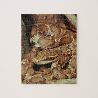 Japanese copperhead jigsaw puzzle