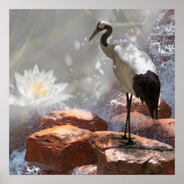 Japanese Crane “Longevity” Poster (Front)