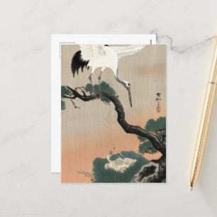 Japanese Crane on Branch of Pine by Ohara Koson Holiday Postcard
