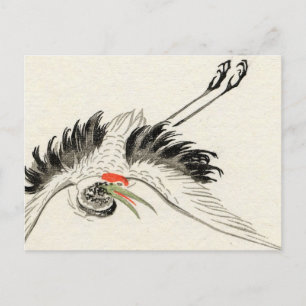 Japanese Crane Vintage Postcard