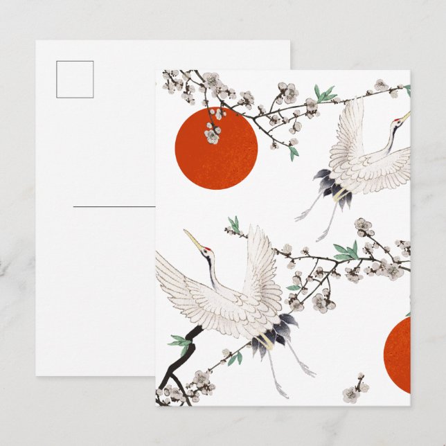 Japanese crane with plum blossom  pattern postcard (Front/Back)