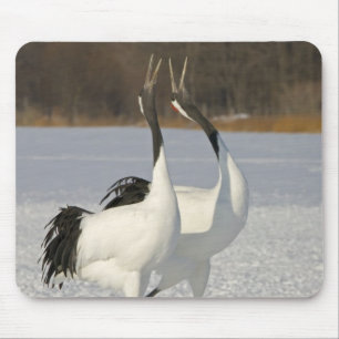 Japanese Cranes dancing on snow Mouse Mat