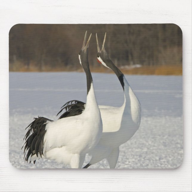 Japanese Cranes dancing on snow Mouse Mat (Front)