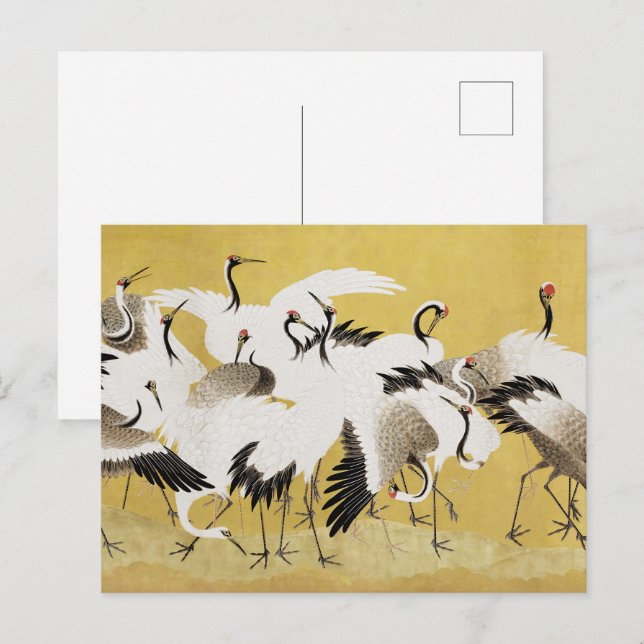 Japanese Cranes Vintage Bird Classic Postcard (Front/Back)