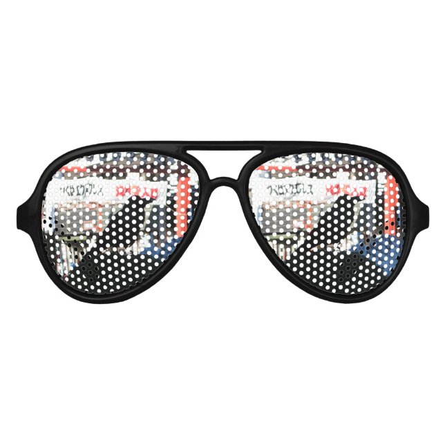 Japanese Crow Aviator Sunglasses (Front)