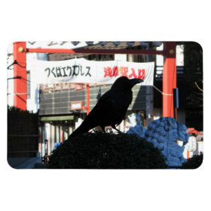 Japanese Crow Magnet