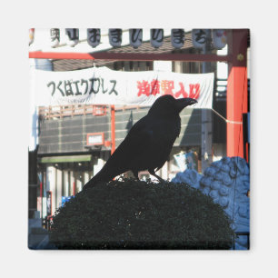 Japanese Crow Magnet