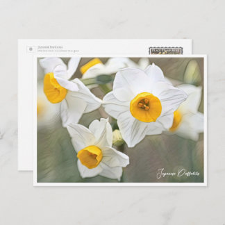 Japanese Daffodils Postcard
