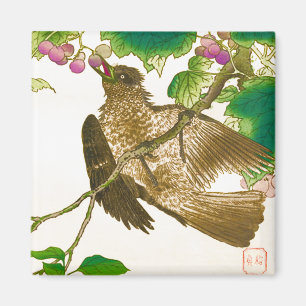Japanese Drawing of Jay on a Grape Vine Magnet