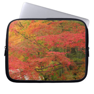 Japanese Fall Foliage Laptop Sleeve