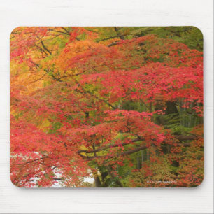 Japanese Fall Foliage Mouse Mat