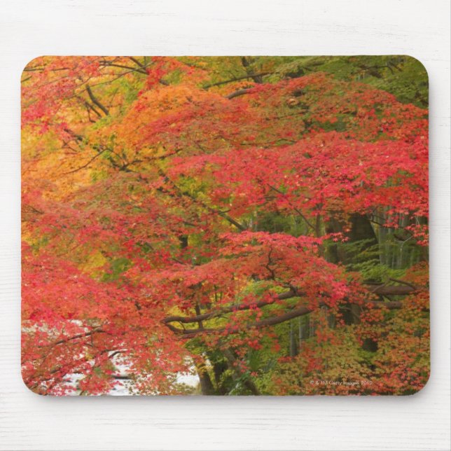 Japanese Fall Foliage Mouse Mat (Front)