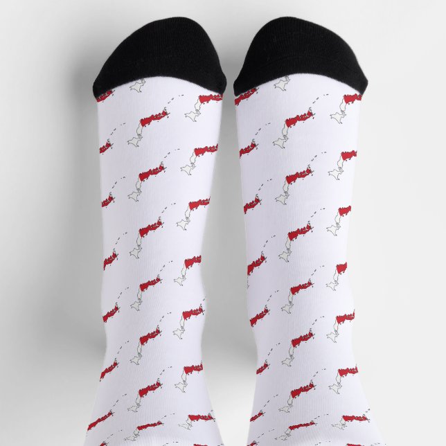 Japanese Flag Within Map Souvenir Design Socks (Top)