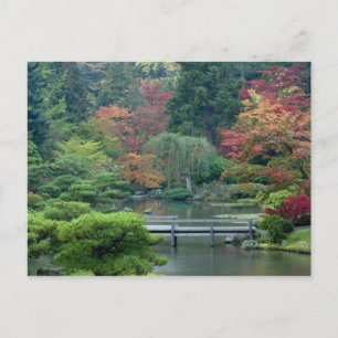Japanese Garden at the Washington Park Postcard